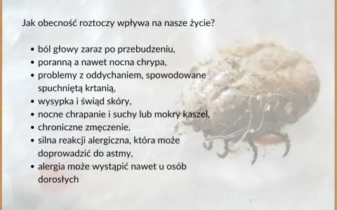 Roztocza, niewidoczny kurz, wywołują alergie, bóle głowy, problemy z oddychaniem i kaszel.