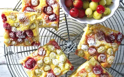 Saftiger Omas Stachelbeerkuchen, bestäubt mit Puderzucker, auf einem Gitter. Daneben eine Schale mit frischen Stachelbeeren.