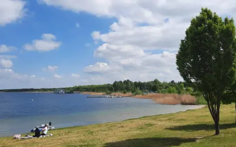 Sonniger Tag am Muldestausee. Menschen entspannen am Ufer, Boote liegen im Wasser. Perfekt zum Baden und Genießen.