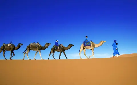 Ein Berberstamm in der Sahara durchquert die Dünen. Kamele mit Reitern und Gepäck ziehen unter blauem Himmel.