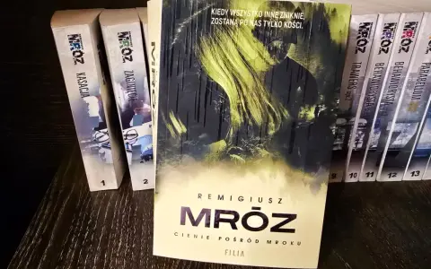 Książka "Cienie pośród mroku" Remigiusza Mróza, tom 6 z serii, obok innych tytułów autora.
