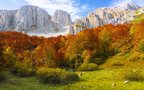 Un bosco incantato di **mozzafiato paesaggi autunnali italiani**, con montagne imponenti sullo sfondo e un tappeto erboso verde brillante.