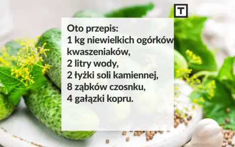 Przepis na kiszone ogórki: 1 kg ogórków, 2 litry wody, sól, czosnek i koper. Idealne do słoików!