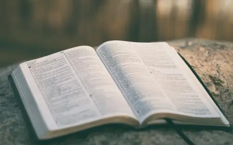 Otwarta Biblia leży na kamieniu, gotowa do czytań na ślub.