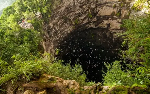Sótano de las Golondrinas: ¿Listo para el espectáculo de aves? Guía