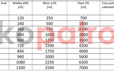 Kiedy można jechać po piwie? Promile, trzeźwienie, kary 2026
