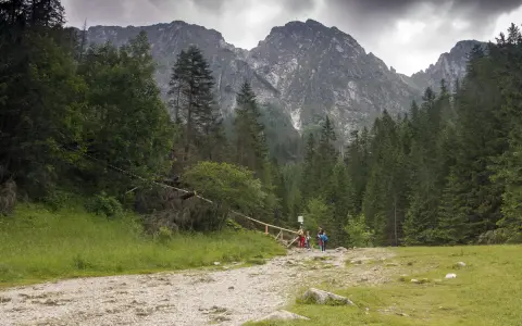 Rodzina wędruje przez Dolinę Strążyską w kierunku Giewontu, otoczona gęstym lasem i skalistymi szczytami.