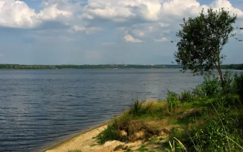 Szerokie jezioro z piaszczystym brzegiem i drzewem w oddali, pod zachmurzonym niebem.