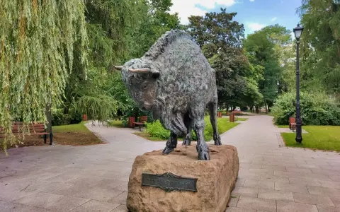 Pomnik żubra, symbol Hajnówki, w parku. Wspaniałe **hajnówka atrakcje** dla miłośników przyrody i historii.