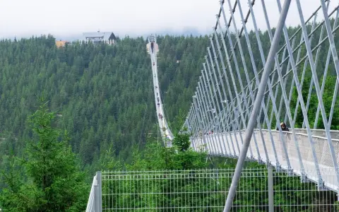 Most na Dolní Moravě, widok z góry. Sprawdź cennik i wybierz się na spacer po tej niesamowitej konstrukcji.