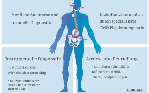 Schema zur Diagnose von Haltungsschäden, die auch den Kiefer betreffen können. Ein Bandscheibenvorfall im Kieferbereich wird hier mit anderen Diagnostiken verglichen.