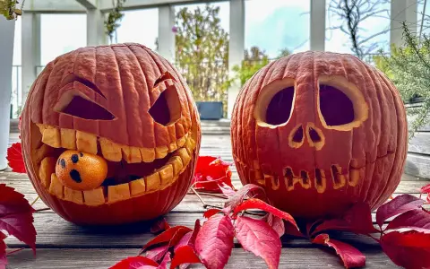 Due zucche intagliate per Halloween, una con una piccola arancia che fa la faccia spaventata. Un perfetto esempio di zucca halloween fai da te.