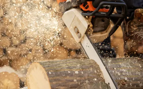 Pilarka elektryczna Stihl czy Makita? Wybierz idealną dla siebie!