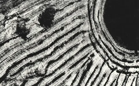 Campi arati visti dall'alto, un'opera di Mario Giacomelli. Le striature bianche e nere creano un paesaggio astratto e dinamico.