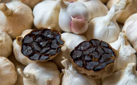Deux têtes d'ail noir coupées en deux, révélant leur intérieur caramélisé, reposent sur un lit d'ail blanc frais. Parfait pour une recette d'ail noir.