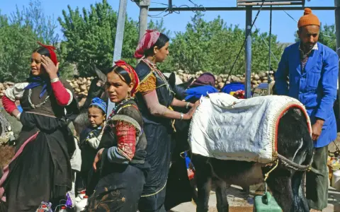 Berber Marokko Frauen mit Eseln, beladen mit Säcken. Ein Mann in blauer Jacke steht daneben.