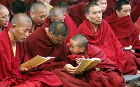 Monks in red robes study texts. Their peaceful lives, dedicated to learning, make one wonder how long do monks live.