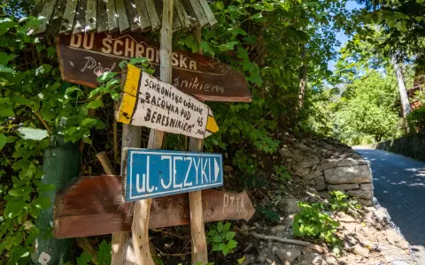 Drewniane drogowskazy turystyczne w lesie, wskazujące kierunek do schroniska i ulicy.