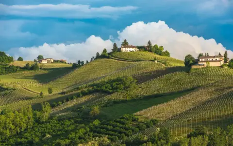 Dolci colline con vigneti ordinati e case in cima, un paesaggio da sogno per un agricampeggio in Piemonte.