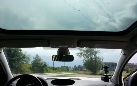 Widok przez panoramiczny dach samochodu. Krople deszczu na szybie, droga i drzewa w tle.