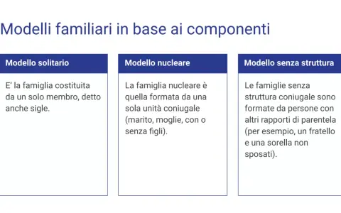 Il **concetto di famiglia** illustrato in tre modelli: solitario (un membro), nucleare (coppia con o senza figli) e senza struttura (altri parenti).