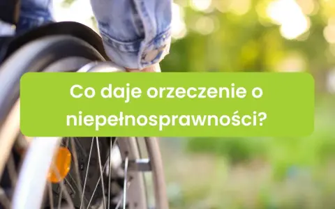 Osoba na wózku inwalidzkim, z zielonym napisem "Co daje orzeczenie o niepełnosprawności?".