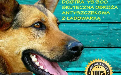 Czy obroża antyszczekowa działa? Skuteczność i kontrowersje w użyciu