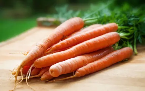 En hög med färska, orange morötter med gröna blastar ligger på en träskärbräda. Dessa nyttiga rotfrukter, som finns i morot, är redo att användas i köket.