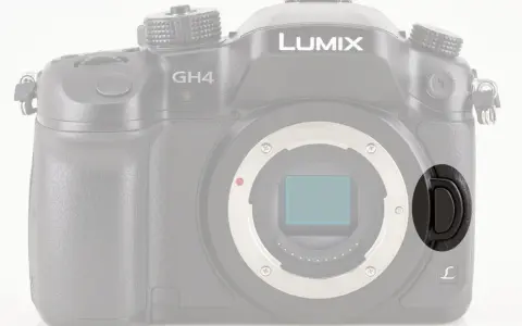 Czarne, okrągłe zapięcie na pasku aparatu Panasonic Lumix GH4.
