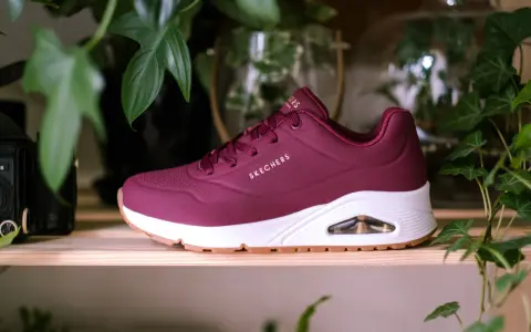 Bordowy but Skechers z białym spodem i brązową podeszwą, otoczony zielonymi liśćmi. Dowiedz się, jak wyczyścić sznurówki, aby buty wyglądały jak nowe.