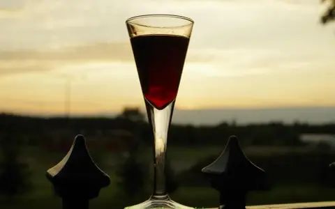Nalewka z wiśni drylowanych w kieliszku na tle zachodzącego słońca. Ciemnoczerwony płyn lśni w szkle, zapraszając do degustacji.