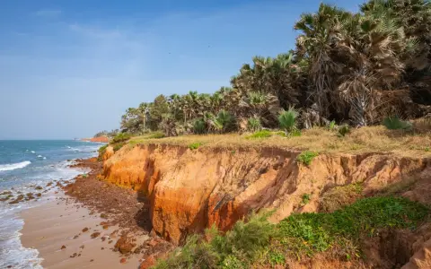 Malownicze plaże Gambii z klifami porośniętymi palmami. Oceaniczne fale rozbijają się o brzeg.