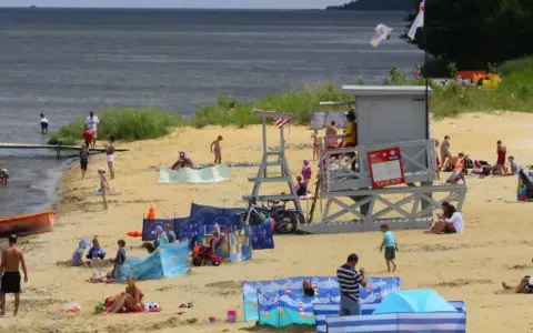 Słoneczna puck plaża tętni życiem. Ludzie opalają się, kąpią i bawią na piasku. W tle widać wieżę ratowniczą i drzewa.