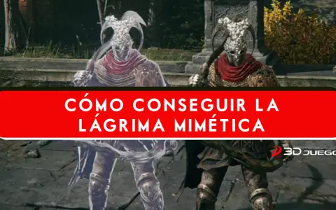 Dos guerreros de Elden Ring, uno real y otro una lagrima mimética, se preparan para el combate.