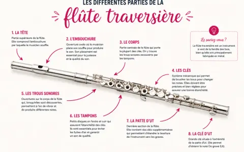 Vue détaillée d'un instrument bois, la flûte traversière, avec ses différentes parties étiquetées : tête, embouchure, corps, clés, trous sonores, tampons, patte d'Ut et clé d'Ut.