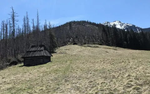 Drewniana chata w dolinie lejowej, otoczona uschniętymi drzewami i lasem. W tle góra ze śniegiem.