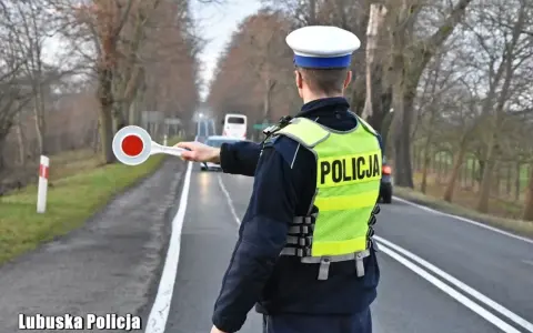 Policjant kieruje ruchem. Pamiętaj, że 250 ml wódki to ile promili, zanim wsiądziesz za kółko.