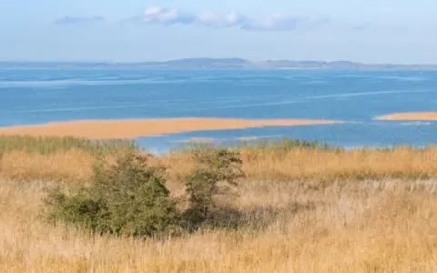 Zalew Szczeciński otoczony trzcinami, z widocznymi na horyzoncie wzgórzami.