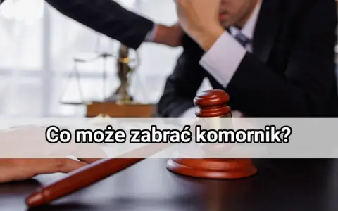 Młotek sędziowski i waga sprawiedliwości symbolizują licytację ruchomości. Komornik może zająć wiele przedmiotów, ale nie wszystko.