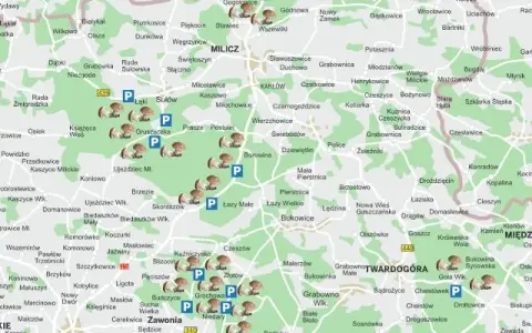 Gdzie na grzyby z noclegiem? Odkryj najlepsze miejsca na grzybobranie
