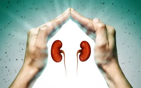 Hände schützen Nieren. Ein guter GFR-Wert mit 70 Jahren ist wichtig für die Gesundheit.