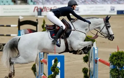 Reiterin mit weißem Pferd überwindet Hindernis. Ein Moment aus dem Springreiten, der die Dynamik der Klassen zeigt.