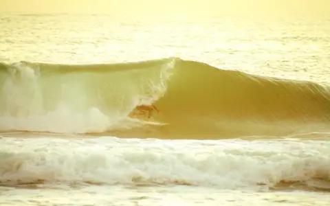 Surfer reitet eine Welle im goldenen Licht. Ein perfekter Moment beim el palmar surfen.