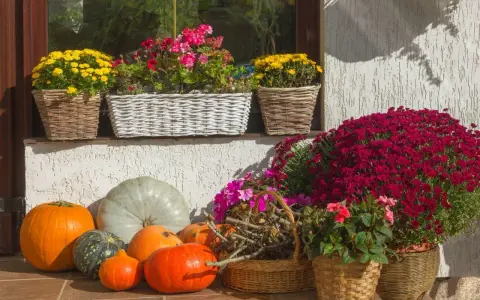 Jesienne kompozycje z wrzosami przed domem: dynie, chryzantemy i pelargonie w wiklinowych koszach tworzą barwną dekorację.
