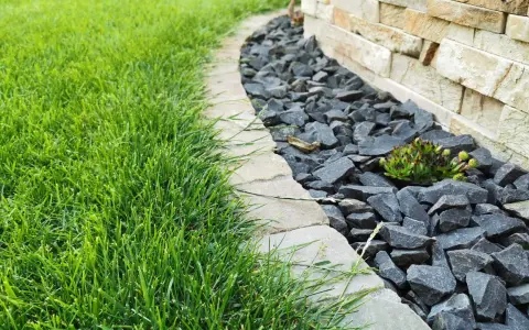 Ein Gartenweg mit frisch gemähten Rasen und grauen Bruchsteinen, die den Rand eines Beetes mit einer Sukkulente markieren. Die Pflastersteine schneiden eine klare Linie.
