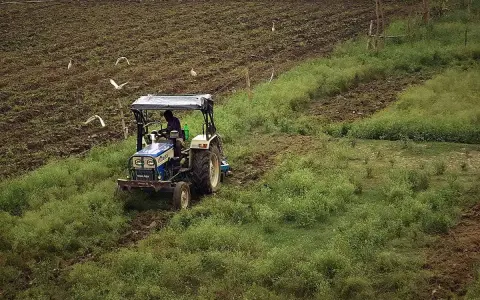 Traktor z kultywatorem pracuje na polu, spulchniając ziemię. Ptaki krążą nad pracującym rolnikiem.
