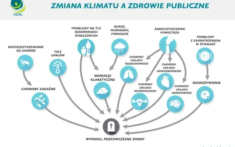 Walka o klimat: Co musisz wiedzieć o gazach cieplarnianych?