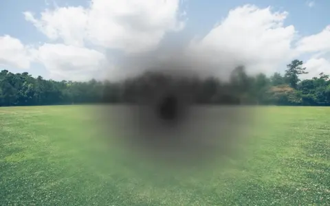 Campo verde con alberi sullo sfondo, oscurato da una macchia scura centrale. Simula la visione dopo un intervento foro maculare non riuscito.