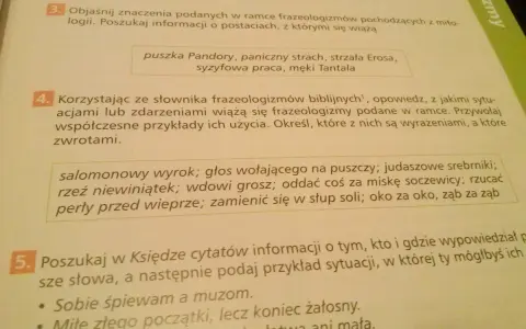Salomonowy wyrok: Czy to zawsze idealny kompromis?