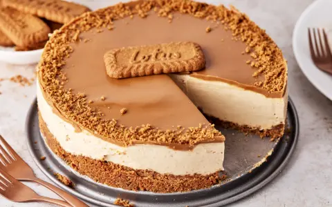 Ein cremiger Lotus Cheesecake mit Karamellglasur und Keksbröseln, dekoriert mit einem Lotus-Keks.